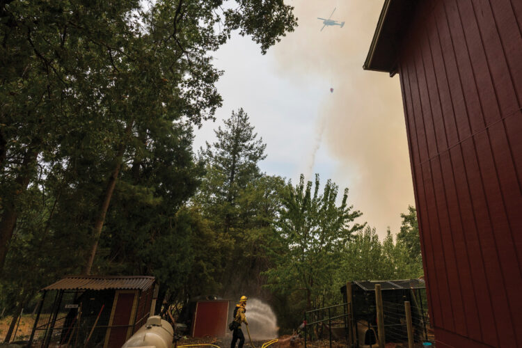 Fires in the West are becoming ever bigger,  consuming. Why and what can be done?